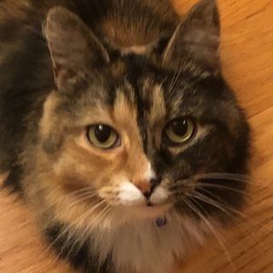 Meet your Posher, Erin